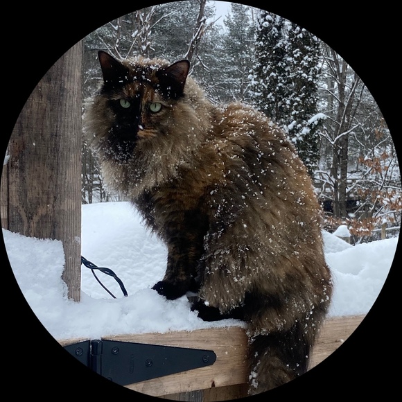 Meet your Posher, Emma - Picture 1 of 1